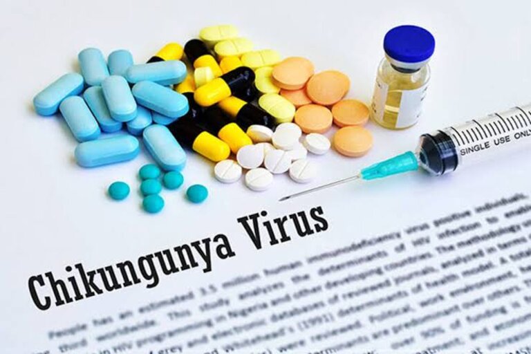 Chikungunya Causes Symptoms And Transmission