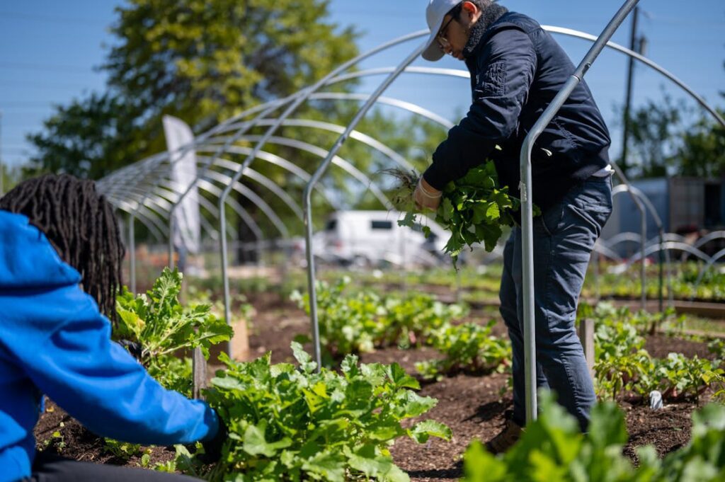 Growing Wealth The Most Profitable Crops For Every Season