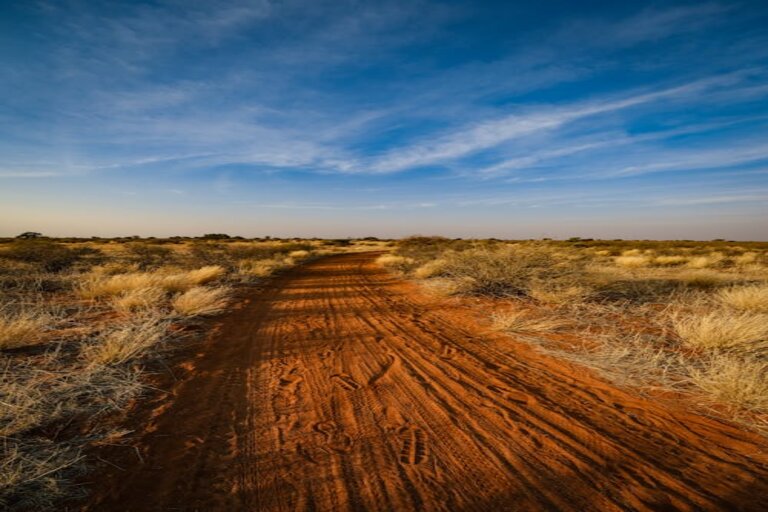 10 Interesting Facts About The Savanna Grasslands