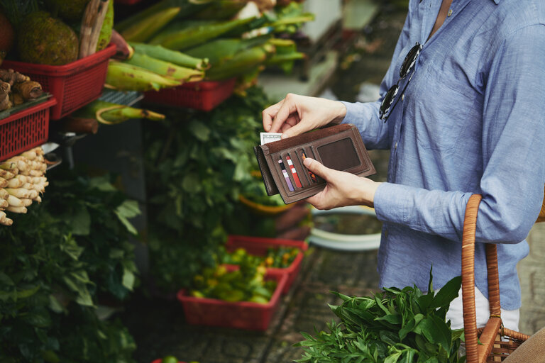 Low-Cost Ideas for Growing Your Garden: