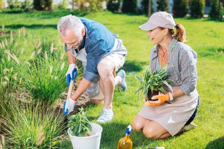 Gardening Keeps The Brain Healthy In Old Age